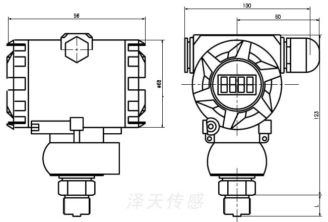 工業(yè)防爆壓力變送器2088外形尺寸CAD圖